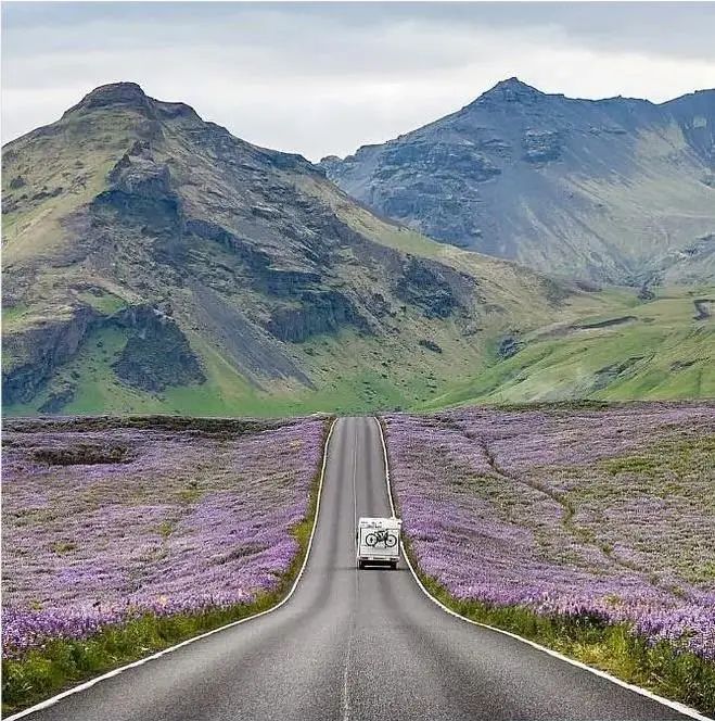 成年人不做選擇題，自由與安穩我都要！